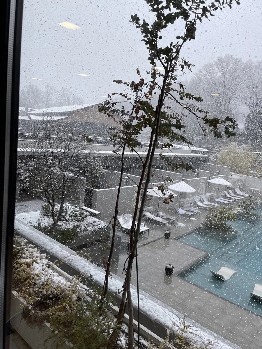 雪が降り注ぐプールサイド